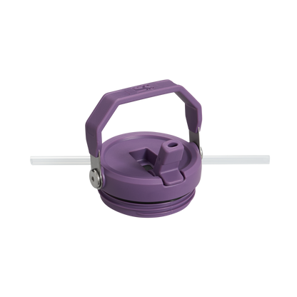 The IceFlow Flip Straw Tumbler | 30 OZ LD1